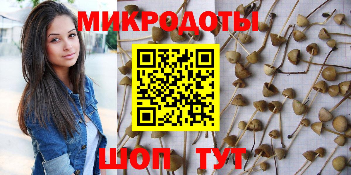 Псилоцибиновые грибы Psilocybine cubensis  Вход с VPN  Нефтекамск 
