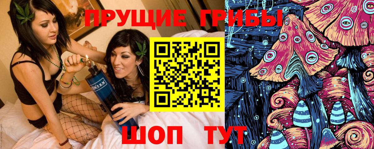 Псилоцибиновые грибы GOLDEN TEACHER Нефтекамск